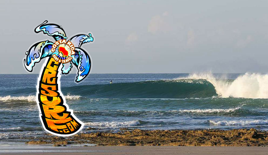 CR Surf Travel Co