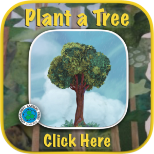 Community Carbon Trees