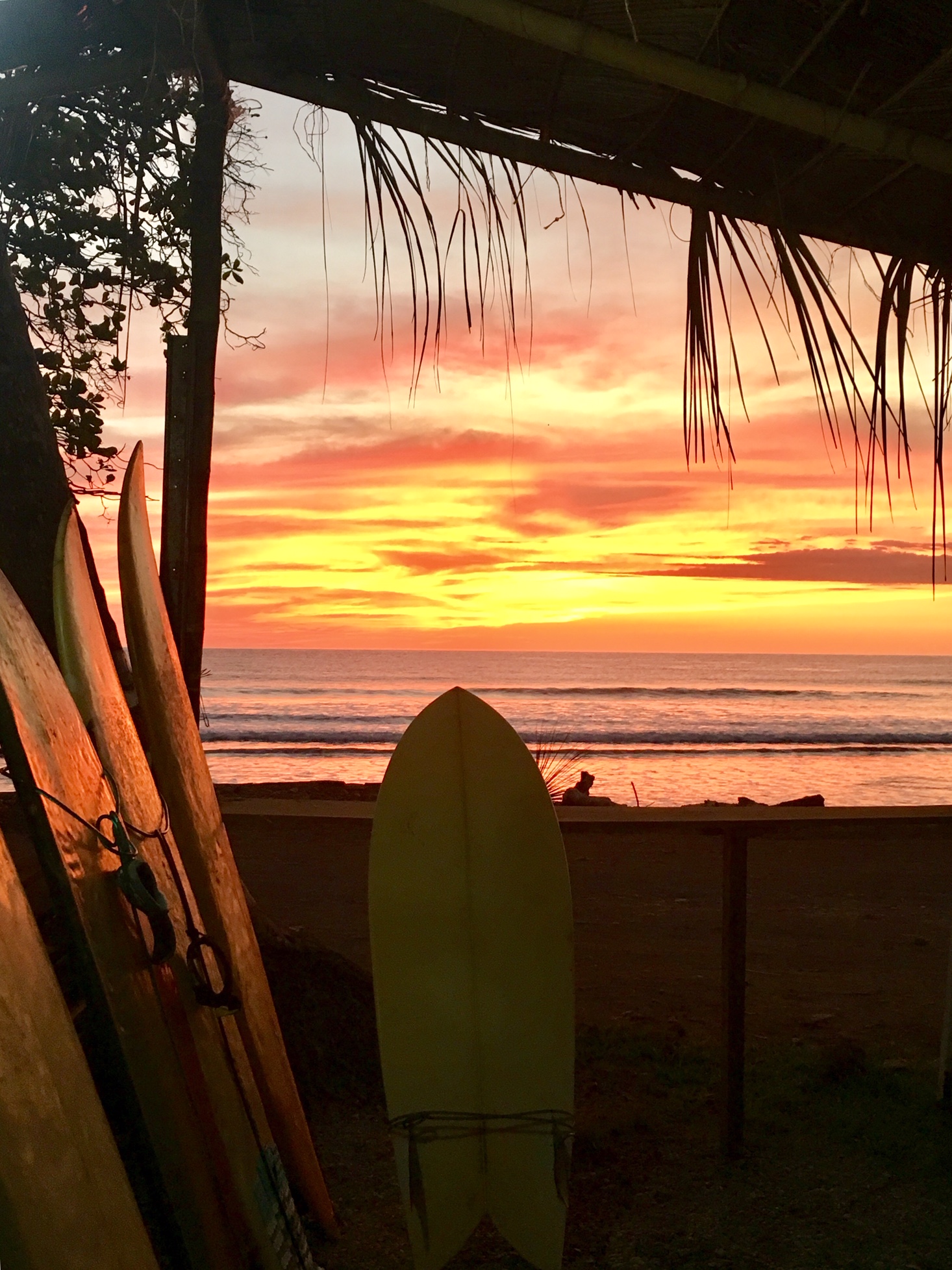 dominicalito-sunset-surfboards