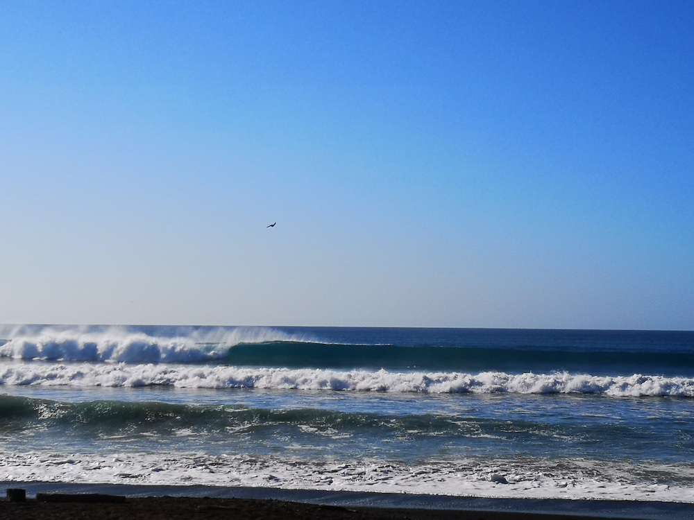 SeafariCR surf photo
