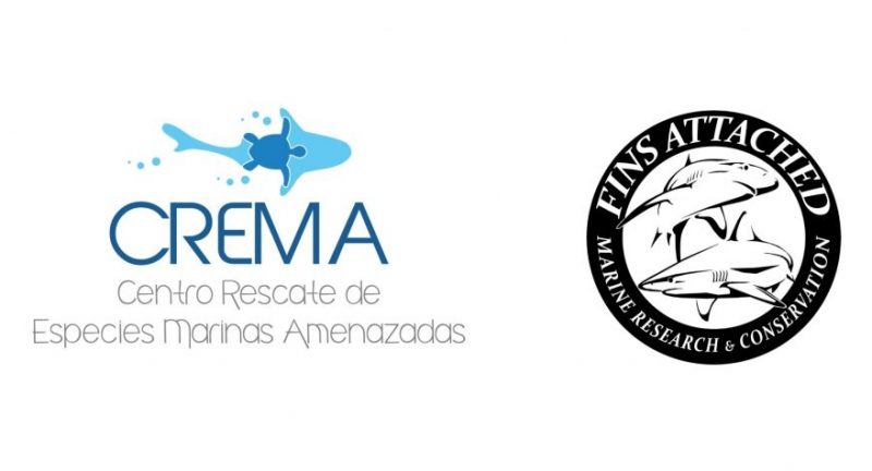 shark protection groups in Costa Rica