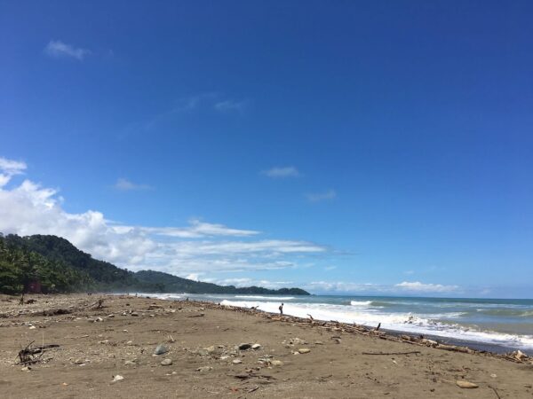 Playa dominical. A must stop surf beach for higher level surfers when visiting costa rica.…