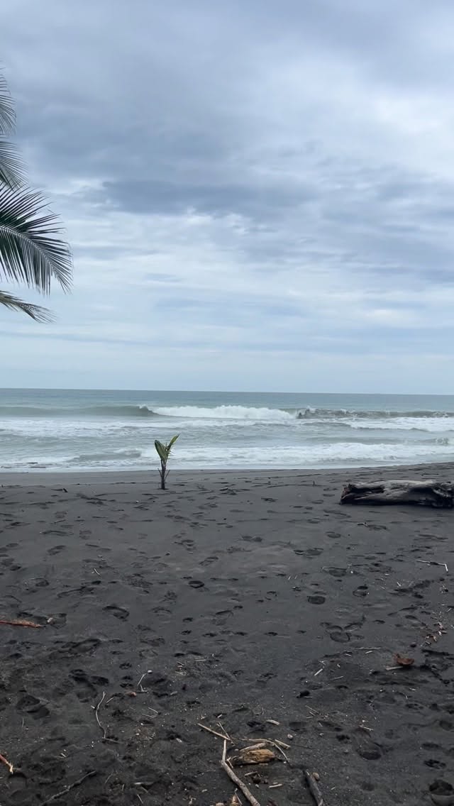 First surf check on the way to Pavones. #playahermosa #costarica #surftrip #costaricatravel #surftrip